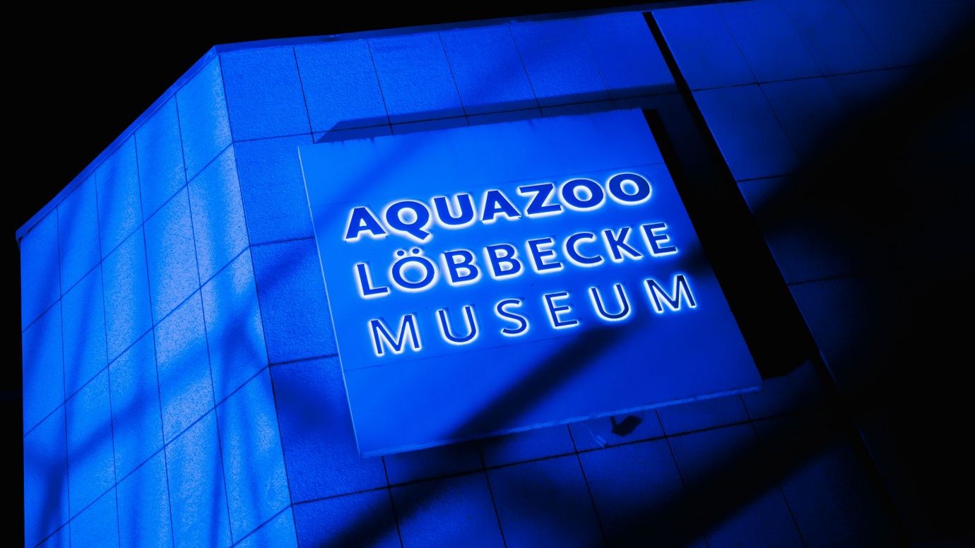 2025-10-01_Lemponpie_Tropennacht_Aquazoo-100